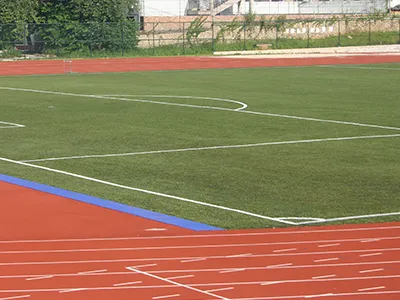 Gazon de football