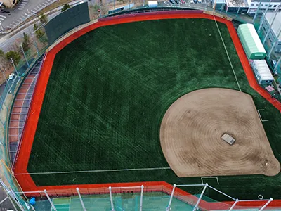 Gazon de baseball