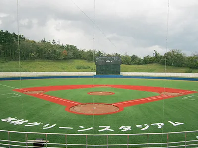 Gazon de baseball