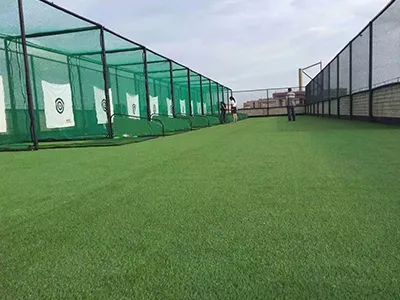 Gazon de terrain de golf