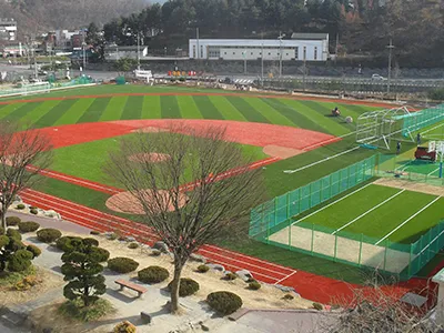 Gazon de baseball