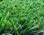 Gazon synthétique à fibre double pour football