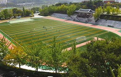 Terrains de Football et Football américain