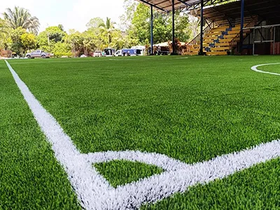 Terrain de sport en gazon